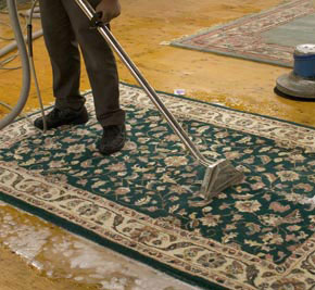Carpetr Rug Cleaning