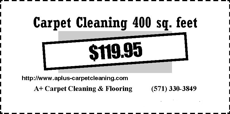 Carpet Cleaning 400 sqft