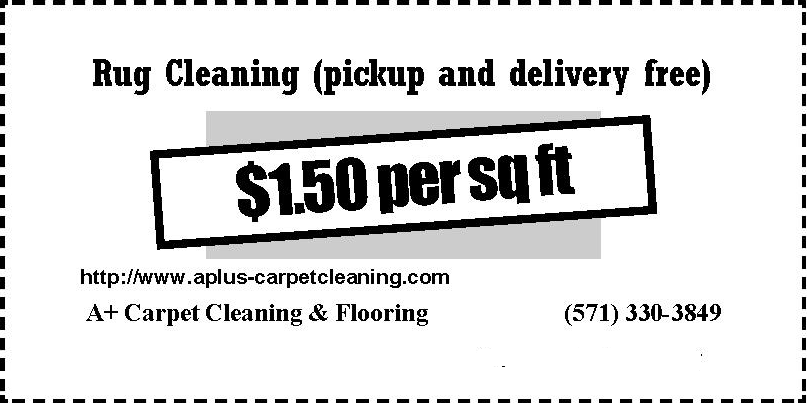 Rug Cleaning $1.25 sqft